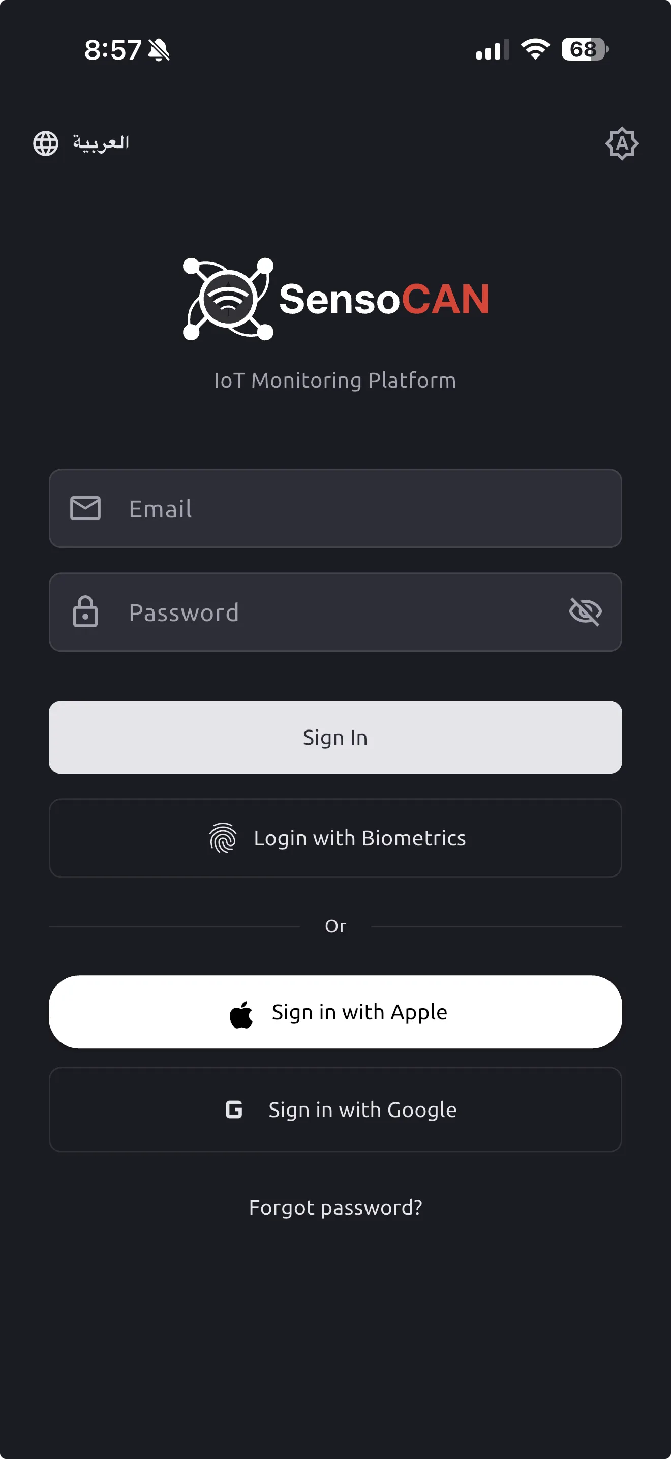 The sign-in screen: email and password fields, the Sign in with Google button, the Forgot Password link, and the language and theme toggles above the form.